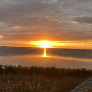 Meet your Posher, Hadleigh